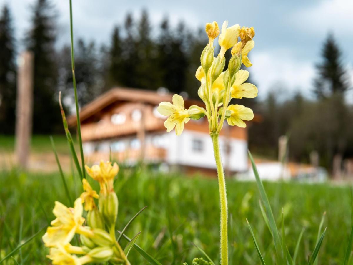 Chalety Bucina Oravská Lesná Exteriér fotografie
