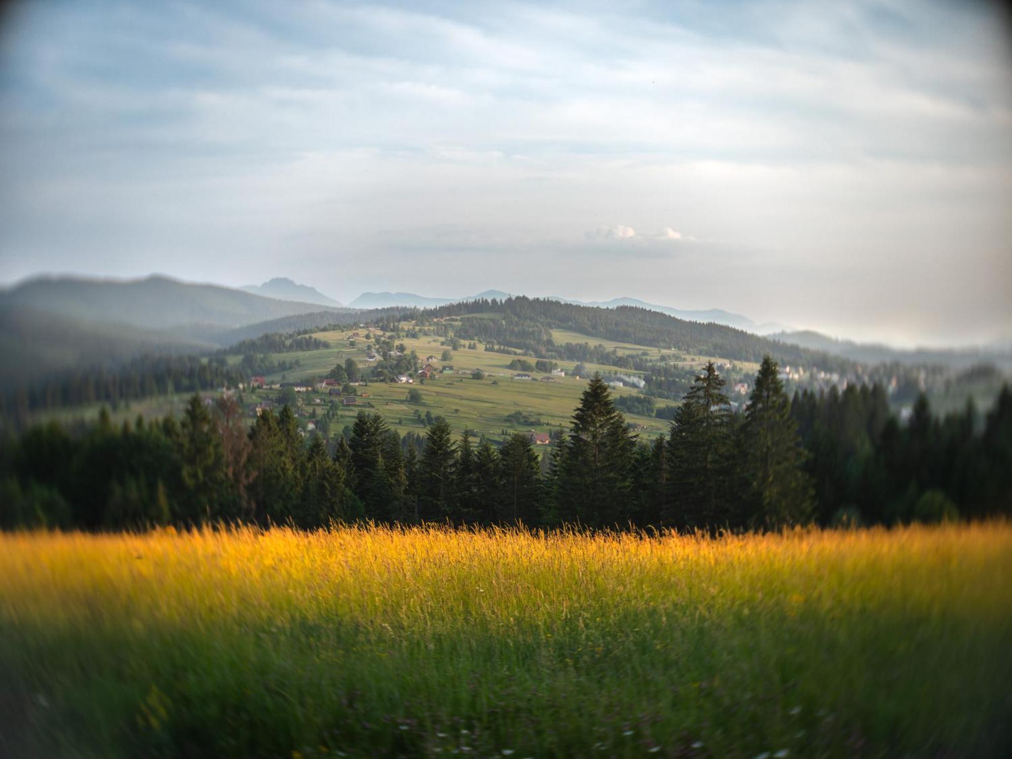 Chalety Bucina Oravská Lesná Exteriér fotografie